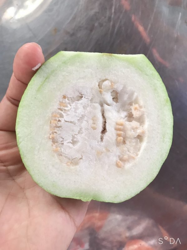 guava-traicayflorida-item-5