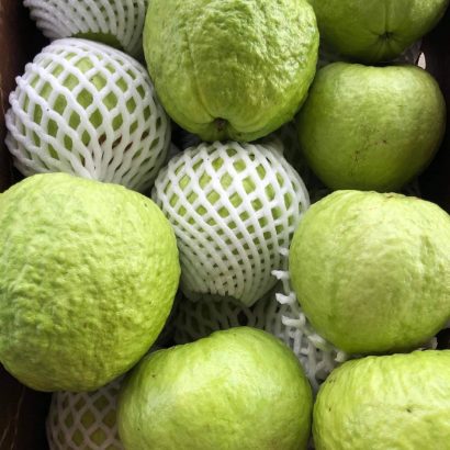 guava-traicayflorida-item-7