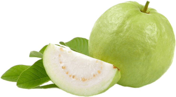 guava-traicayflorida