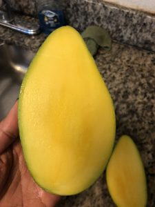 mango-traicayvietflorida-item-1