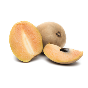 sapodilla-traicayvietflorida
